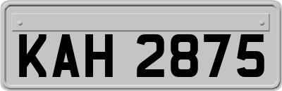 KAH2875