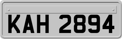 KAH2894