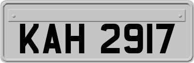 KAH2917