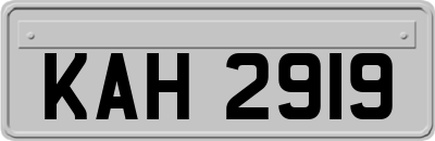 KAH2919