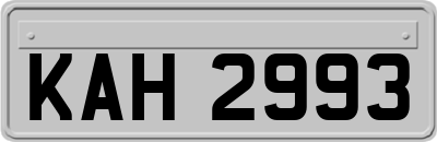 KAH2993