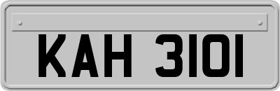 KAH3101