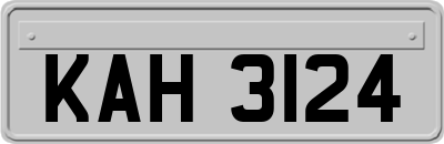 KAH3124