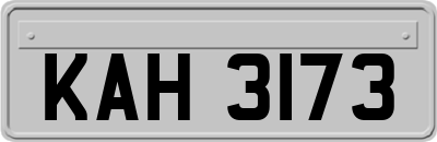 KAH3173