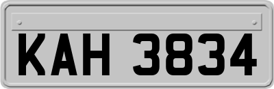 KAH3834