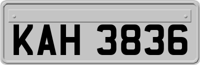 KAH3836