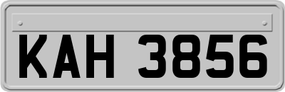 KAH3856