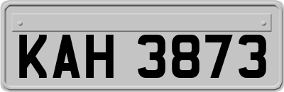 KAH3873