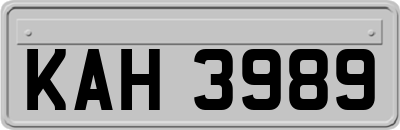 KAH3989