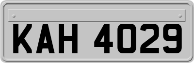 KAH4029
