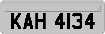 KAH4134
