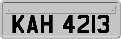 KAH4213