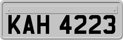 KAH4223