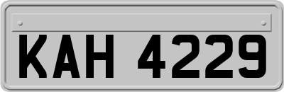 KAH4229