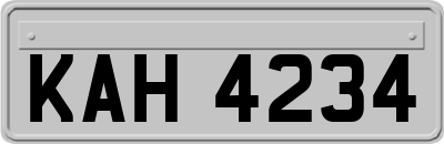 KAH4234