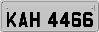KAH4466