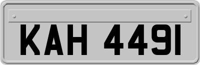 KAH4491