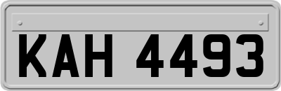 KAH4493