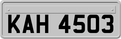 KAH4503