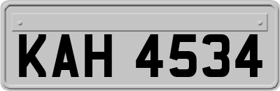 KAH4534
