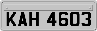 KAH4603