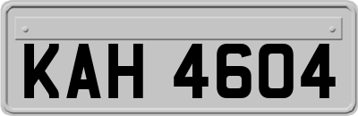 KAH4604