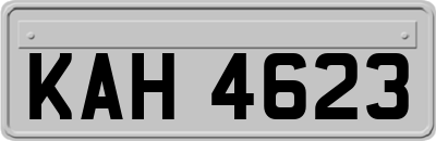 KAH4623