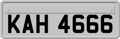 KAH4666
