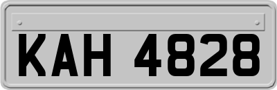 KAH4828
