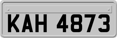 KAH4873