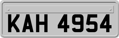 KAH4954