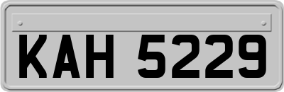 KAH5229