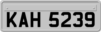 KAH5239