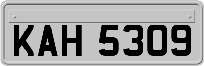 KAH5309