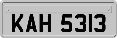 KAH5313