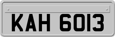 KAH6013