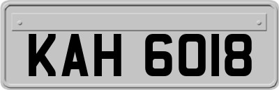 KAH6018