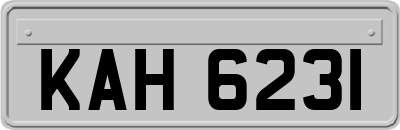 KAH6231