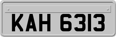 KAH6313
