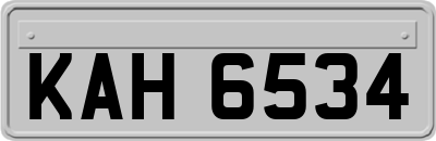 KAH6534