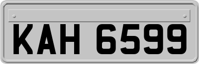 KAH6599