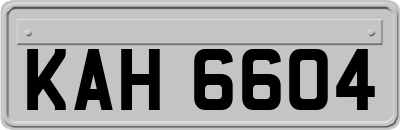 KAH6604