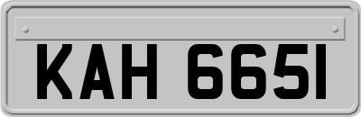 KAH6651