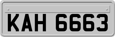 KAH6663