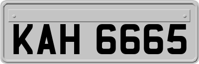 KAH6665