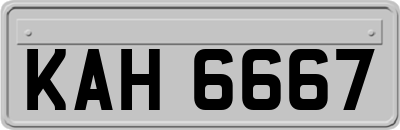 KAH6667
