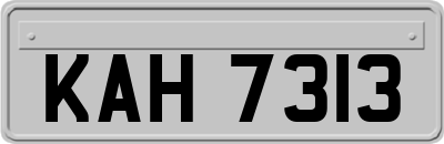 KAH7313