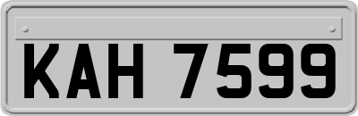 KAH7599