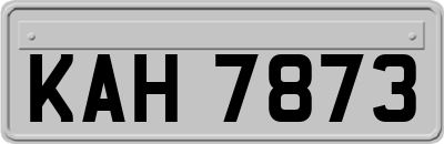 KAH7873