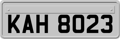 KAH8023